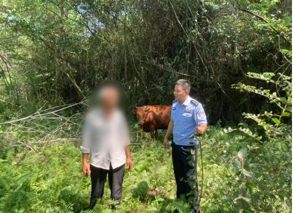 蓬安公安1.png