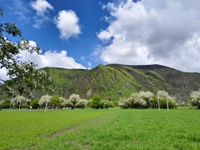 仪陇检察1.png 仪陇检察1.png