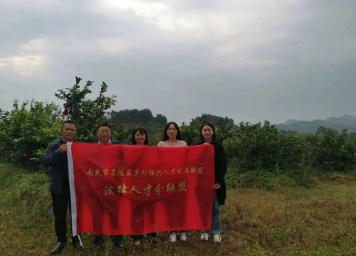 嘉陵法院1.png