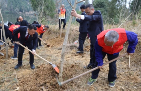 南部植树节1.png