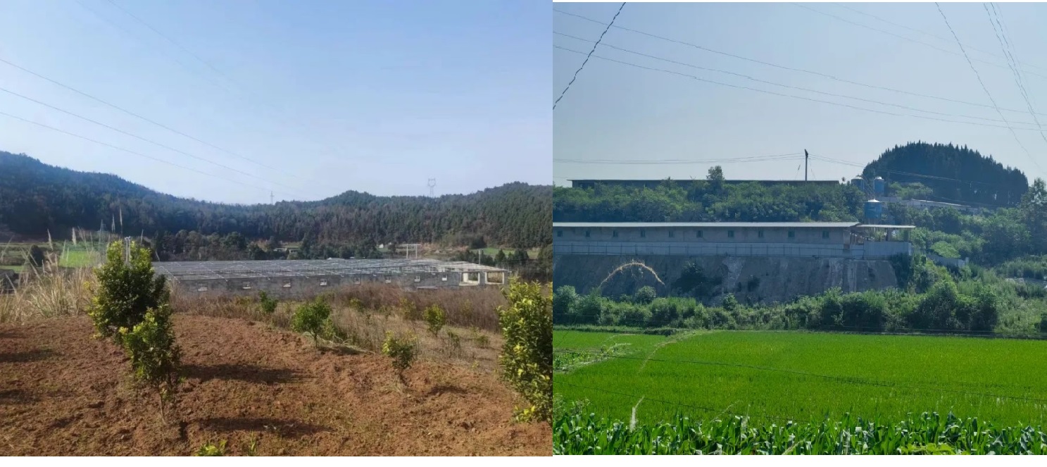 西充法院3.png