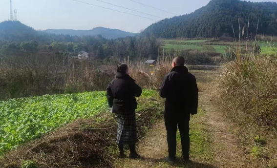 西充法院5.png