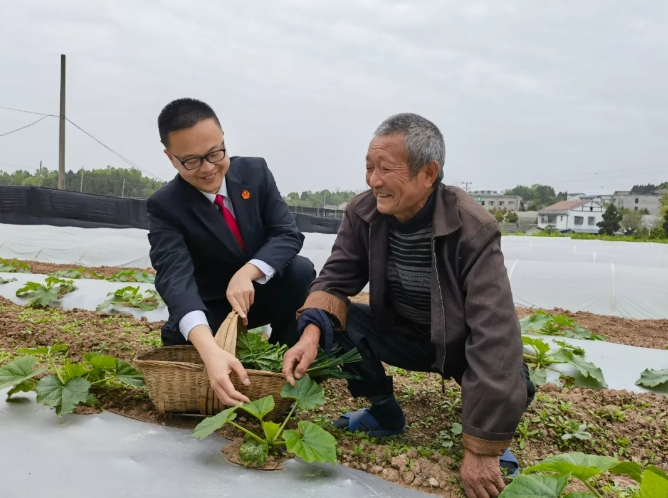西充法院3.png