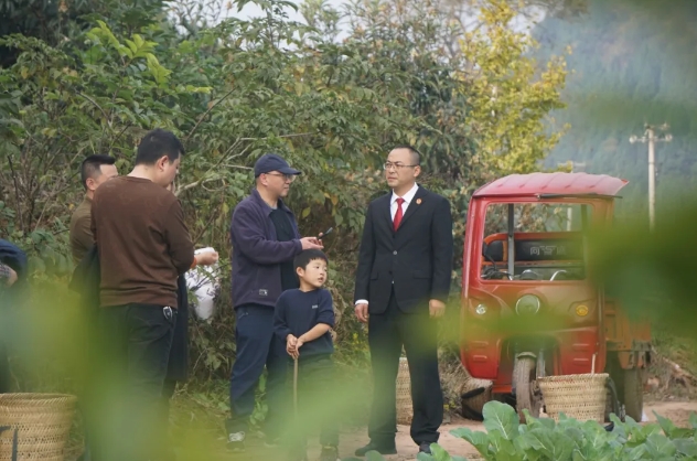 嘉陵法院1.png