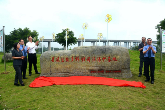 嘉陵法院3.png