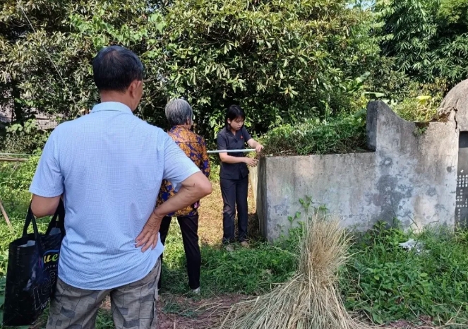蓬安法院1.png