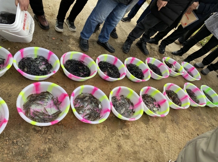 阆中检察2.png