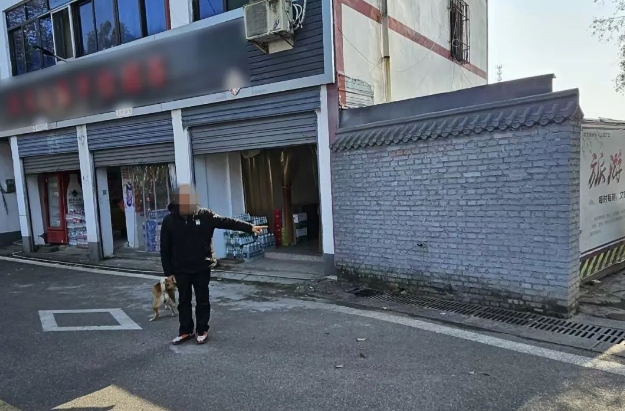 阆中1.png